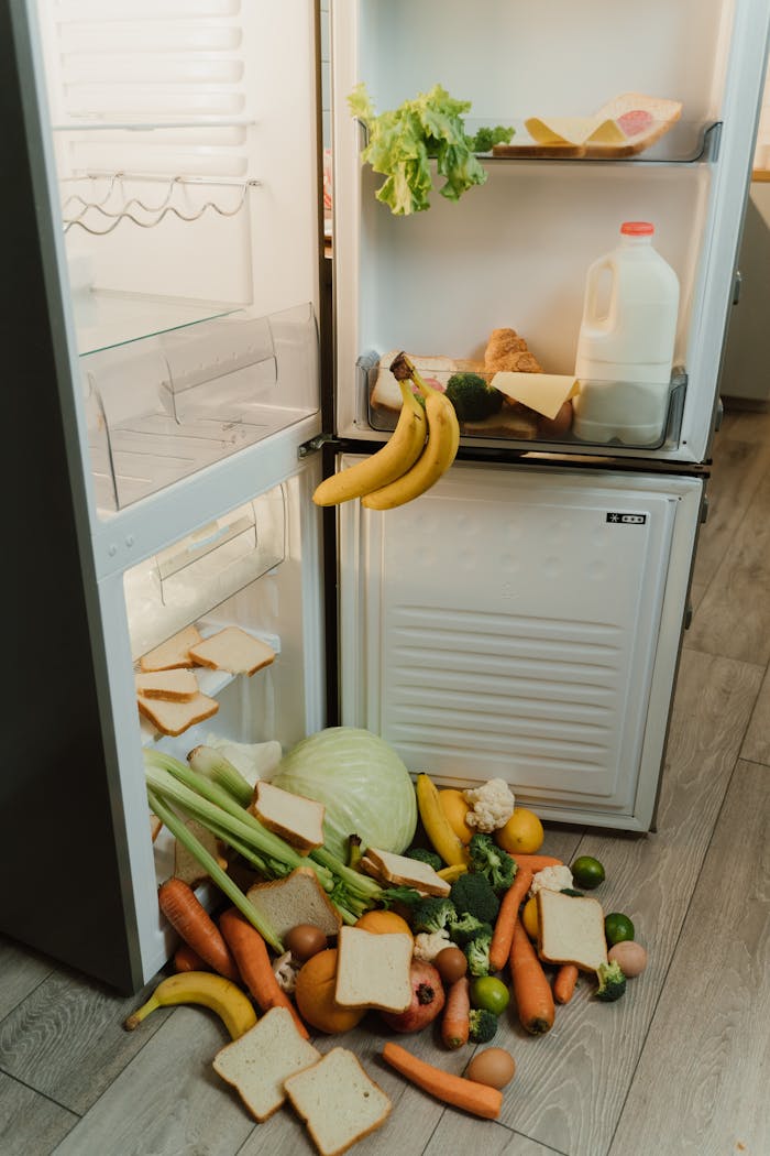 Home A messy open refrigerator with fresh vegetables and bread scattered on the floor.